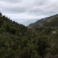 IMG_20241014_100025