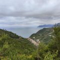 IMG_20241014_103342
