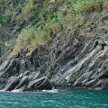 IMG_20241014_124849_DSCF3309