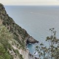 IMG_20241014_144248