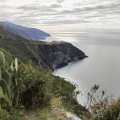 IMG_20241015_112316