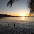 IMG_20240128_175523_DxO