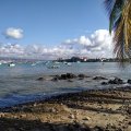 IMG_20240210_085015_DxO