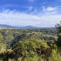 IMG_20241002_103230