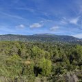 IMG_20241002_110439