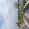 IMG_20240922_121259