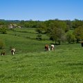 IMG_20240419_140038_DSCF2880