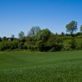 IMG_20240419_141540_DSCF2883