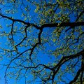 IMG_20240419_143933_DSCF2890