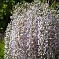 IMG_20240419_144856_DSCF2893
