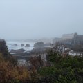 IMG_20241224_173742