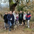 IMG_20241226_150219