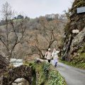 IMG_20241226_152147