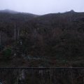 IMG_20241226_152842_DSCF3453