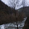 IMG_20241226_152853_DSCF3455