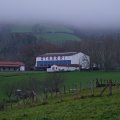 IMG_20241226_155944_DSCF3462