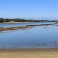 IMG_20241229_124044
