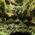 IMG_20240824_154227