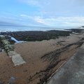 IMG_20240909_073421