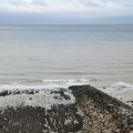 IMG_20240909_075909