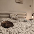 IMG_20240909_215448