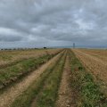 IMG_20240910_080731