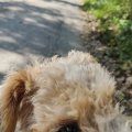 IMG_20240917_105333