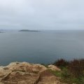 IMG_20241108_092427
