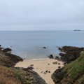 IMG_20241108_094030