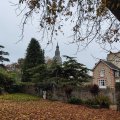IMG_20241108_161927