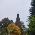 IMG_20241108_161959