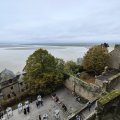 IMG_20241109_120437