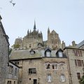 IMG_20241109_121103