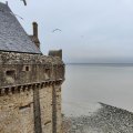 IMG_20241109_121154
