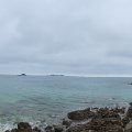 IMG_20241109_150753