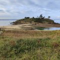 IMG_20241110_113147