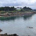 IMG_20241110_114419
