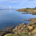IMG_20241110_121608