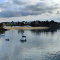 IMG_20241110_122319
