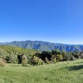 IMG_20241005_094331