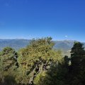 IMG_20241005_104132