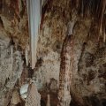 IMG_20241007_113651