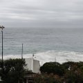 IMG_20241008_100824