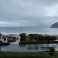 IMG_20241008_100835