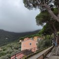 IMG_20241009_093153