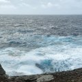 IMG_20241009_111621
