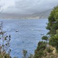 IMG_20241009_111735