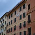 IMG_20241009_180207