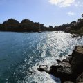 IMG_20241011_145201