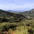 IMG_20241012_103713